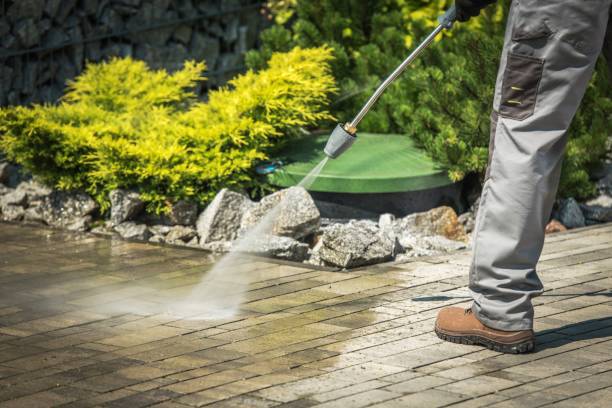 Best Roof Washing  in Wilton Manors, FL